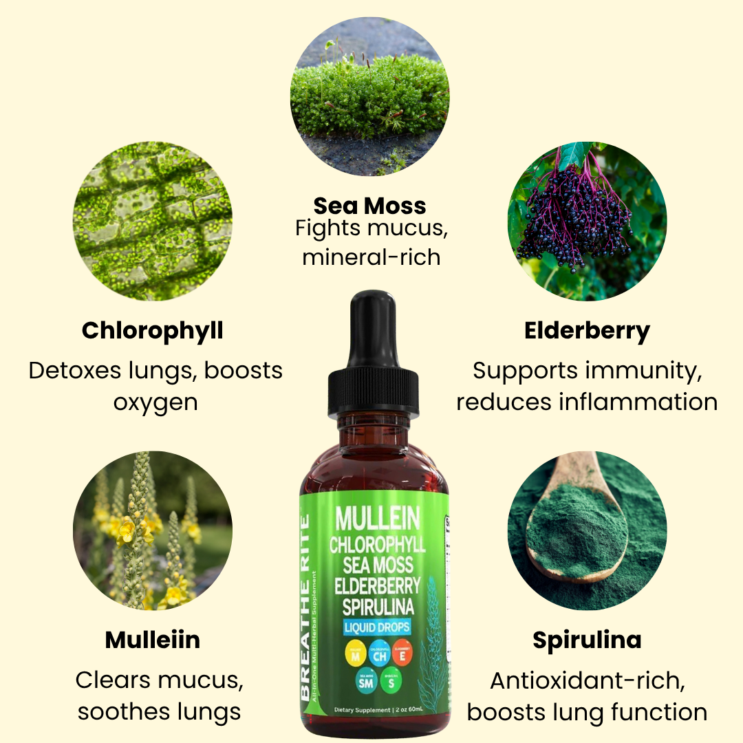 Breathe Rite Chlorophyl Sea Moss Elderberry Spirulina